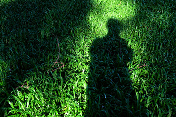 abstract green background