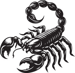 Black and White Scorpion Vector Illustration – Aggressive Insect Tattoo Design