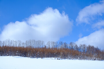 冬の富良野美瑛の雪景色