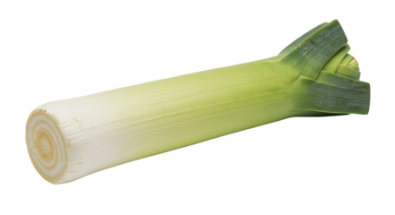 Fresh leek on a white background, concept of vegetables, transparent background, no background  