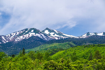 初夏の乗鞍高原から望む山岳風景