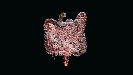 3d render of a vibrant, low-poly intestine over dark background. Intestine wireframe made of light points. 3d illustration