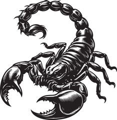 Black and White Scorpion Vector Illustration – Aggressive Insect Tattoo Design