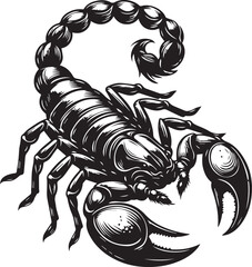 Black and White Scorpion Vector Illustration – Aggressive Insect Tattoo Design