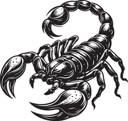 Black and White Scorpion Vector Illustration – Aggressive Insect Tattoo Design