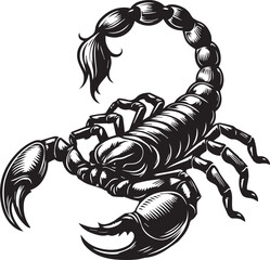 Black and White Scorpion Vector Illustration – Aggressive Insect Tattoo Design