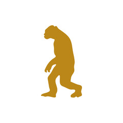 Hand drawn human evolution illustration 