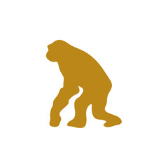 Hand drawn human evolution illustration 