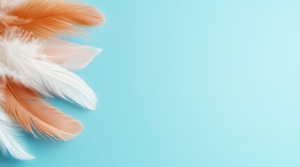 Naklejka premium Delicate feathers in soft tones against a pastel backdrop