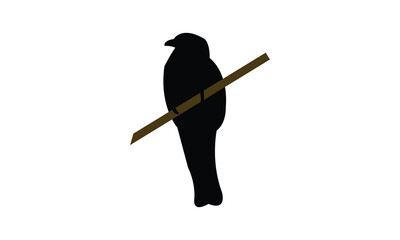 Amazonian black-throated trogon bird Silhouette Design  And Vector Illustration. 