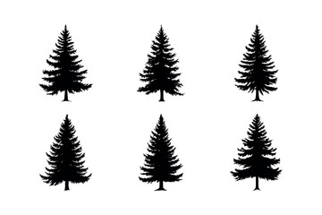 Six black silhouettes of evergreen trees