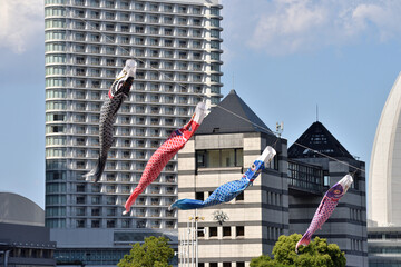 横浜みなとみらいの空にたなびく鯉のぼり