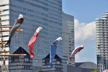 横浜みなとみらいの空にたなびく鯉のぼり