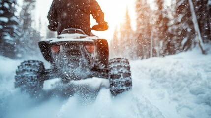 Thrilling moments as an individual rides an all-terrain vehicle through a snowy forest landscape, capturing the essence of adventure and the beauty of winter activities.