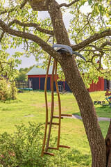 Old Scythe hanging on a tree branch on a farmyard