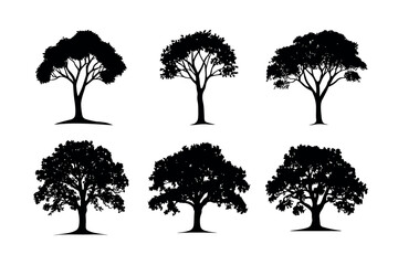 Fototapeta premium Six black silhouette trees isolated on white