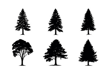 Six black silhouettes of various trees