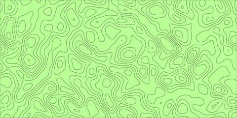 Maze-like abstract layout with elevation map aesthetics

