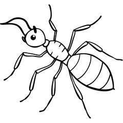 Ant Doodle art