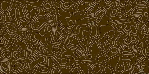 Detailed seamless texture with contour-inspired curves


