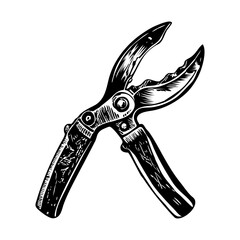 A vintage style illustration of pruning shears