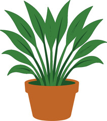 A potted plant with multiple long, slender leaves in a terracotta pot