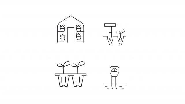 Gardening work line animation set. Home farming animated icons. Seedling tray, greenhouse. Soil test, dibbler tool. Outline elements on white background. HD video with alpha channel