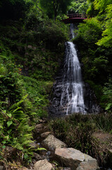 豪快な滝　五宝の滝　岐阜県	