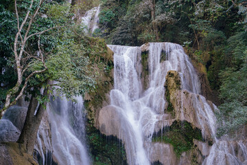 waterfall in the forest