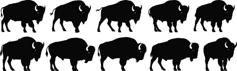 Powerful Bison Silhouettes: Majestic Buffalo and Wild Cattle Figures, Ideal for Wildlife, Nature, American West, and Animal Conservation Themes