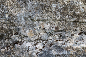 Close-up of cracked limestone rock texture with white and gray tones. Natural stone surface from Tatra Mountains.