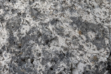 Close-up of cracked limestone rock texture with white and gray tones. Natural stone surface from Tatra Mountains.