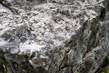 Detail cracked limestone rock with natural patterns and gray tones. Shot in the Tatra Mountains, Slovakia.