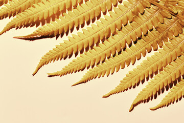 Close-Up of Golden Fern Leaves, autumn textured background, copy space, natural beauty pattern, minimal botanical view, scenic gold leaf at sunlight with shadow, nature geometric lines and shapes
