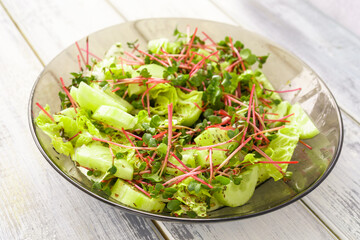 Fresh green salad with red radish microgreens and vegetable mix. Healthy food and vegetarian lunch. Concept plant base diet for health lifestyle.