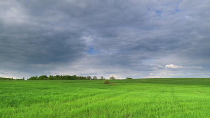 Fototapeta premium A Beautiful Lush Green Field Stretching Out Beneath a Dramatic Cloudy Sky Above It Time lapse.