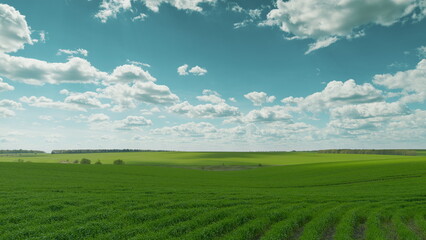 A Lush Green Field Underneath a Bright Blue Sky and Spectacularly Beautiful Clouds Time lapse.