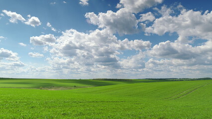 The Endless Vast Green Fields Spread Out Beautifully Beneath a Sky Filled With Clouds Above Us Time lapse.
