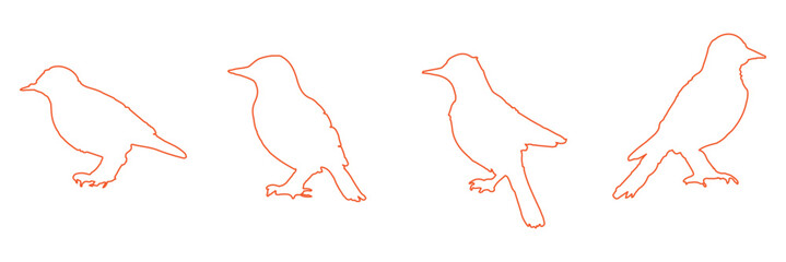 bird silhouettes, black and white, vector graphics, various poses, perched birds, flying birds, detailed bird shapes, minimalist design, ornithology illustration, nature clipart, bird watching guide,