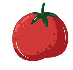 Tomato icon vector illustrations. Fresh and ripe tomato set