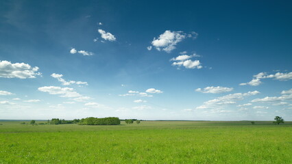 Expansive Vast Green Fields Spread Beneath a Bright and Clear Blue Sky, Embracing Natures Beauty
