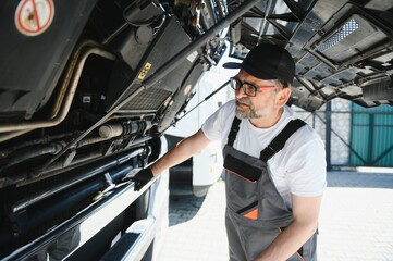 Portrait of professional truck mechanic