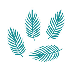 4 set of tropicals palm leaf isolated 