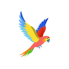 Fototapeta premium Colorful flying parrot on a white background 
