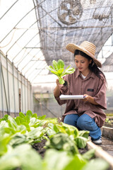 Children learn to grow vegetables and collect data from experimental vegetable plots in a temperature-controlled greenhouse.