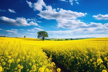 Fototapeten Nature landscape grassland rapeseed. © Rawpixel.com