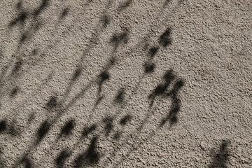 Abstract Shadow Patterns on a Textured Concrete Wall Surface