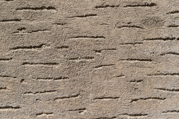 Rough Beige Textured Wall with Irregular Horizontal Patterns
