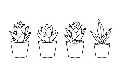 Set of 4 monolinear succulent plants (aloe, echeveria, haworthia, snake plant) in minimalist pots.