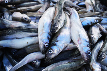 Background of small sprat fish close-up. Fish background